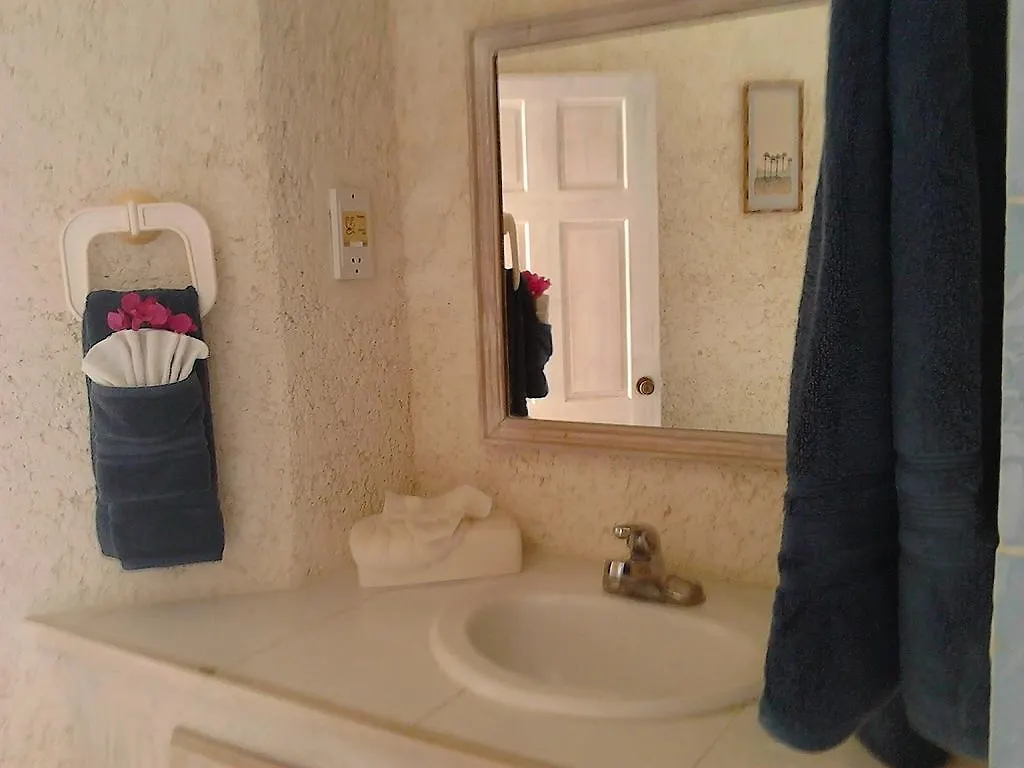 Sea Symphony Villa Saint Lucy Barbados
